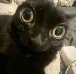 A profile image of Aiiden