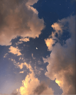 A profile image of Winter Bear