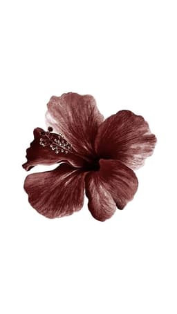 A profile image of Planora