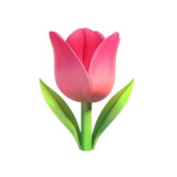 A profile image of Raafa