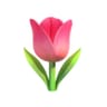Profile picture of Raafa