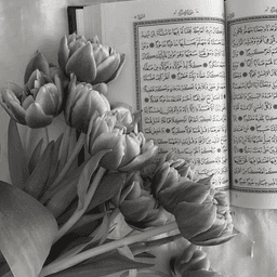 A profile image of peribunga