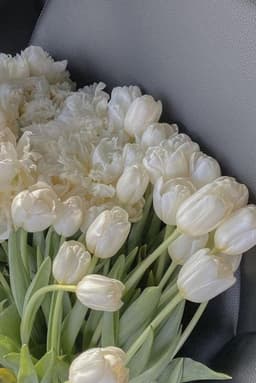 A profile image of daedalvs studies