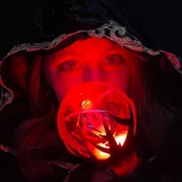 A profile image of TheKpopHag