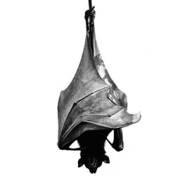 A profile image of Bat2004