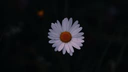 A profile image of JOOON