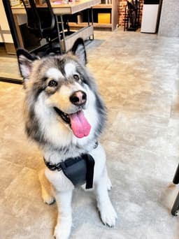 A profile image of 小漁兒