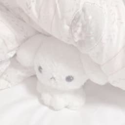 A profile image of miguo