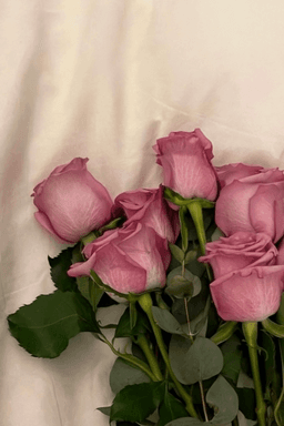 A profile image of Orane