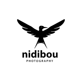 A profile image of Nidibou Library