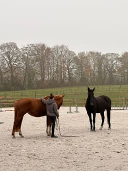 A profile image of Bénédicte Catherine