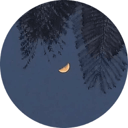 A profile image of Pikt