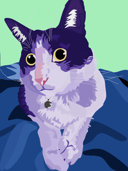 A profile image of Xavier H