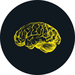 A profile image of vidrop