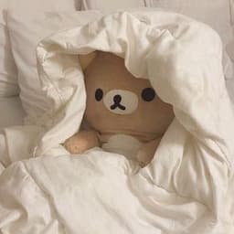 A profile image of nuance𓂂