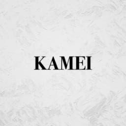 A profile image of KAMEI