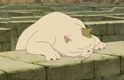 A profile image of FixerCoda