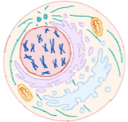 A profile image of 不專業學術閒聊