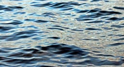 A profile image of Soleil