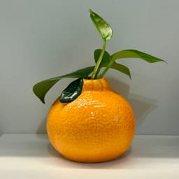 A profile image of 도네 dohne