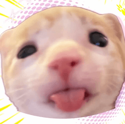 A profile image of Sea Sote