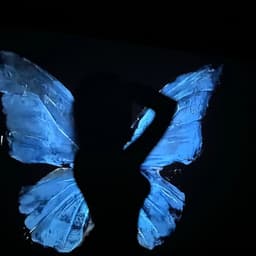 A profile image of Grace