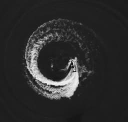 A profile image of Lesley