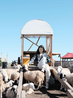 A profile image of Mira chen