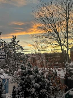 A profile image of Belle🍓