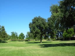 A profile image of _lrrrrrrn