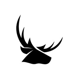 A profile image of Deer