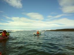 A profile image of Owlkitty