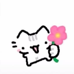 A profile image of Star <3