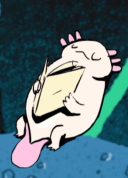 A profile image of Kay