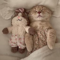 A profile image of ⤷ ゛𝑲𝒂𝒕𝒆 ˎˊ˗