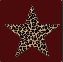 A profile image of jocelyn