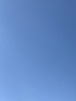 A profile image of viollets