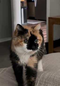 A profile image of Mya Hartman