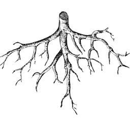 A profile image of Jane S