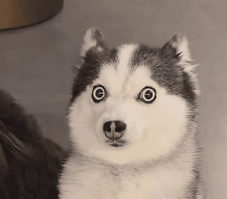 A profile image of outsider