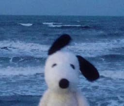 A profile image of Iggymaki