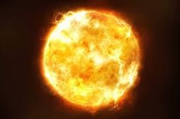 A profile image of Sunny