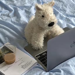 A profile image of ash