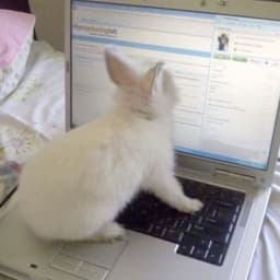 A profile image of 𝓳𝓾𝓵𝓲𝓪𝓷𝓪