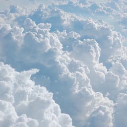 A profile image of grozatee