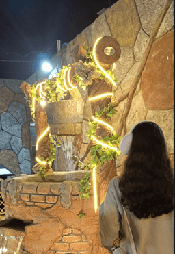 A profile image of Ayesha maheen