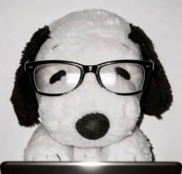 A profile image of mena