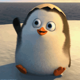 A profile image of nck