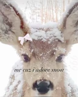 A profile image of Blair