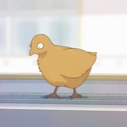 A profile image of y